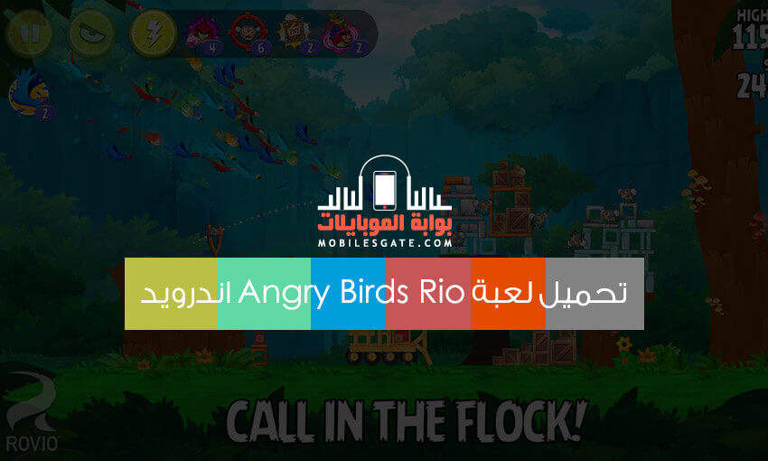 andry bird rio game